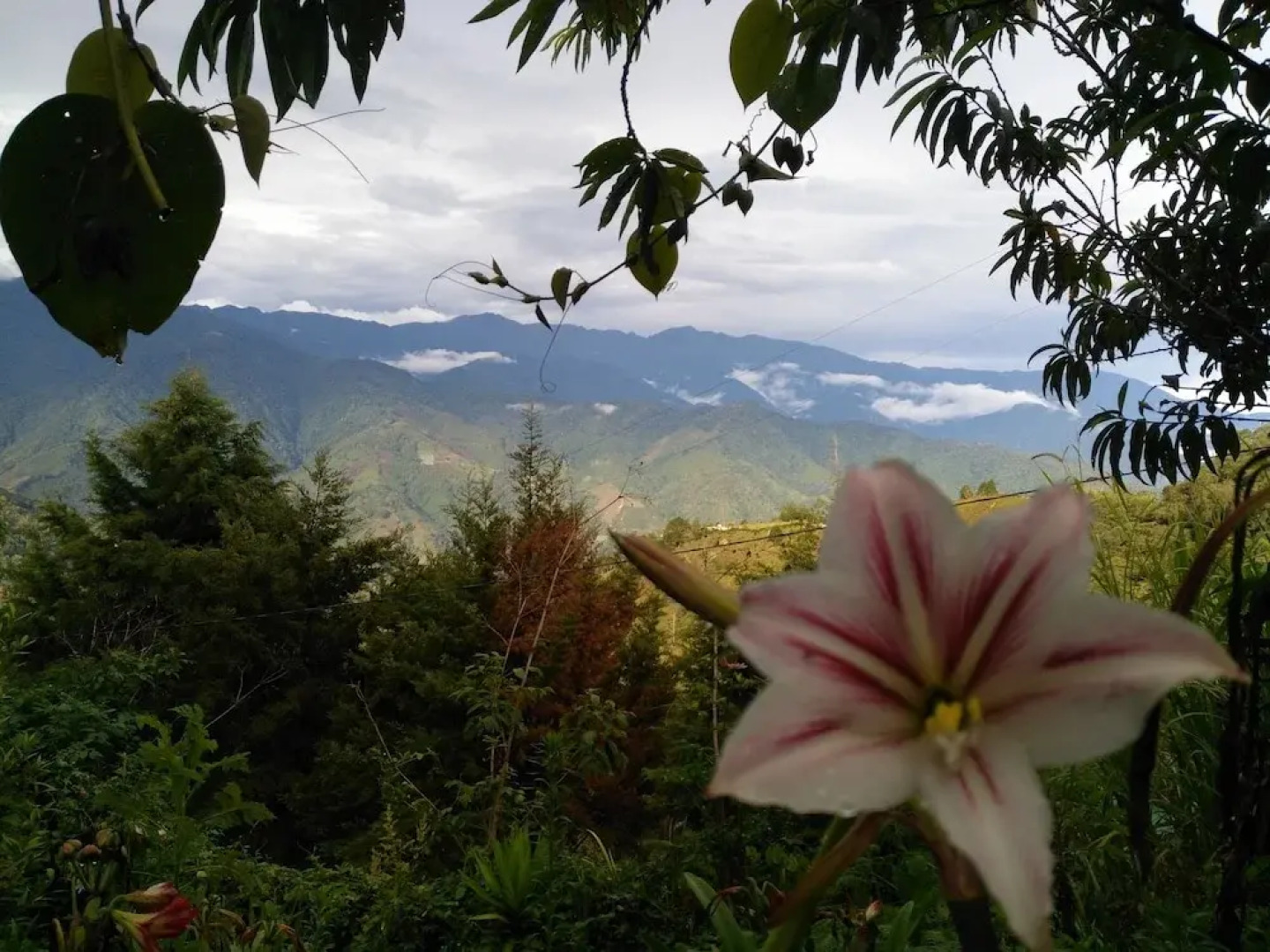 Hostal Villas San Miguel - Hostel