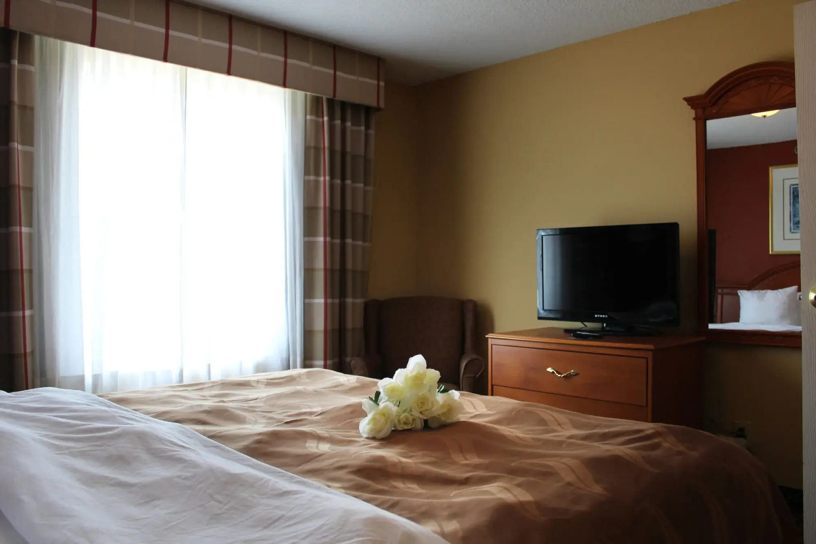 Quality Inn & Suites Cincinnati Sharonville