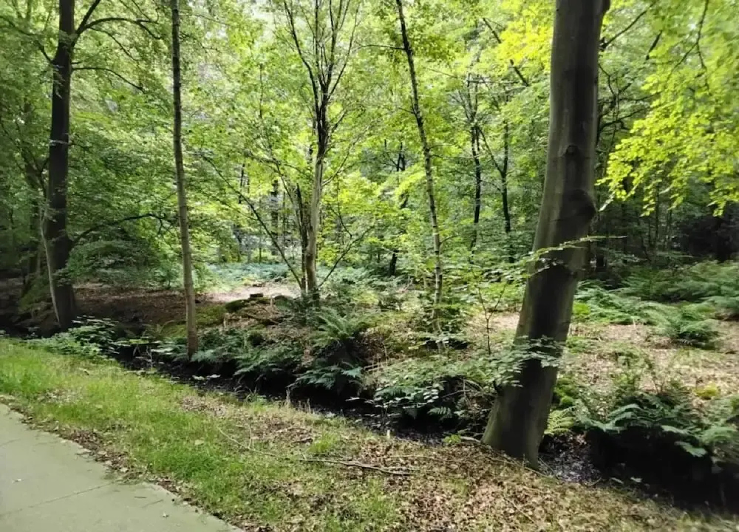 Spacious Home with Garden near Langweerder Wielen