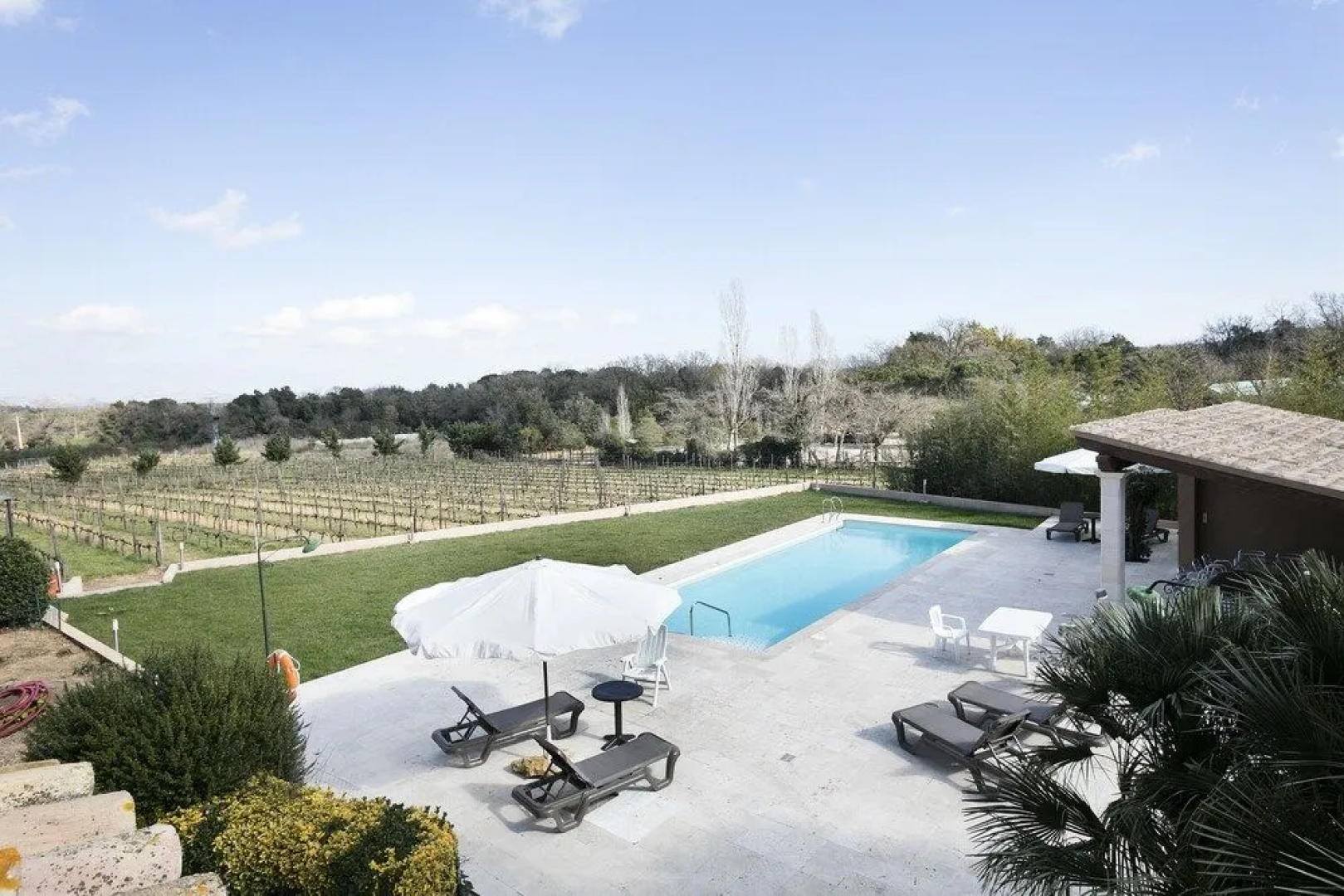 Vinyes de l'Empordà