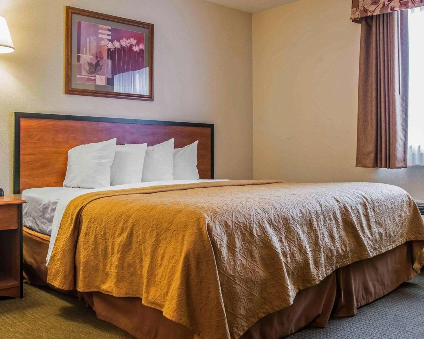 Quality Inn Durand I-69