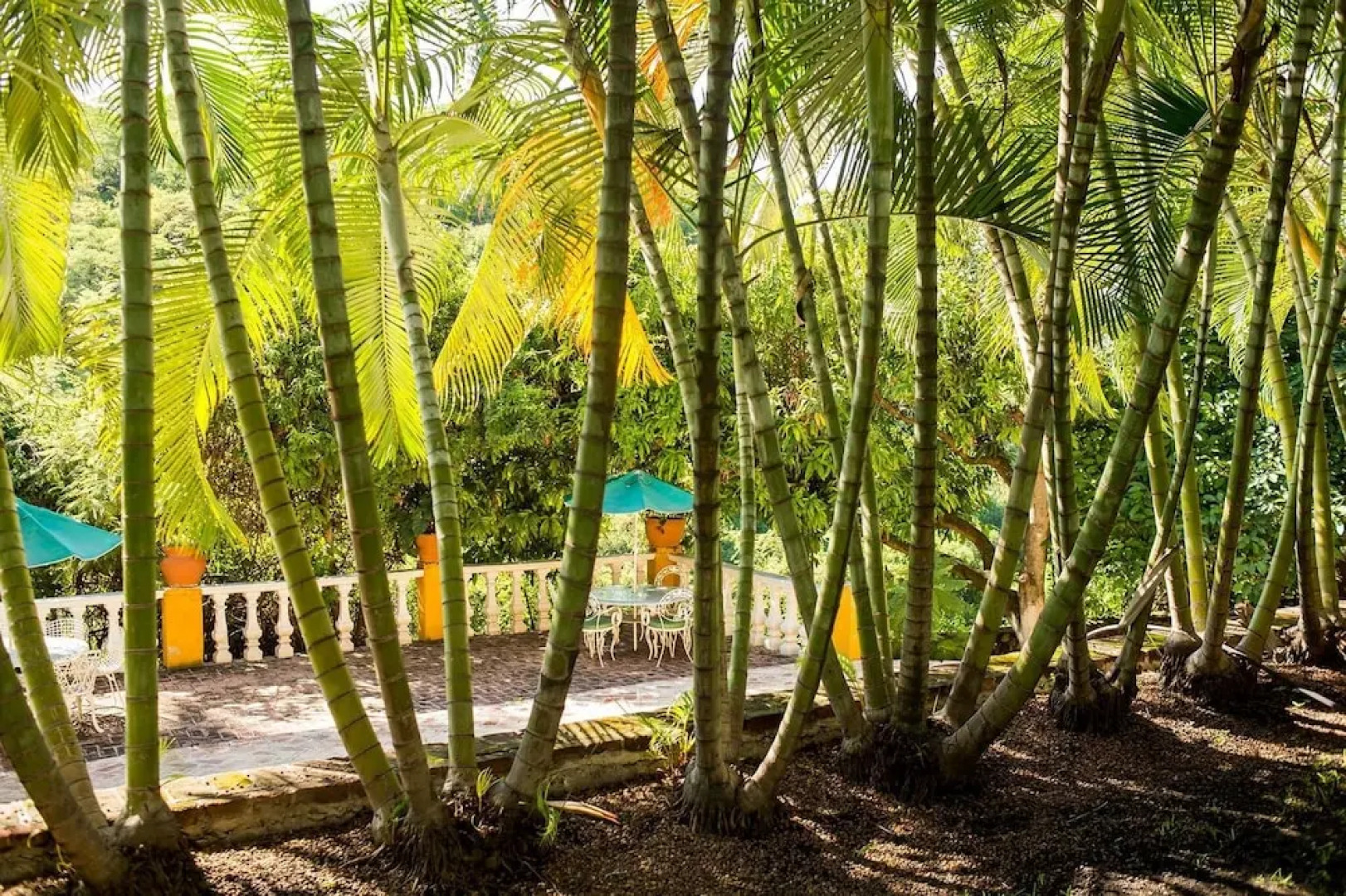 Quinta San Antonio, Xochitepec Ideal for 16 Pax