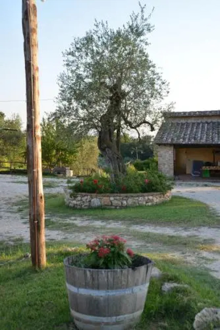 Agriturismo Podere dell' Olmo