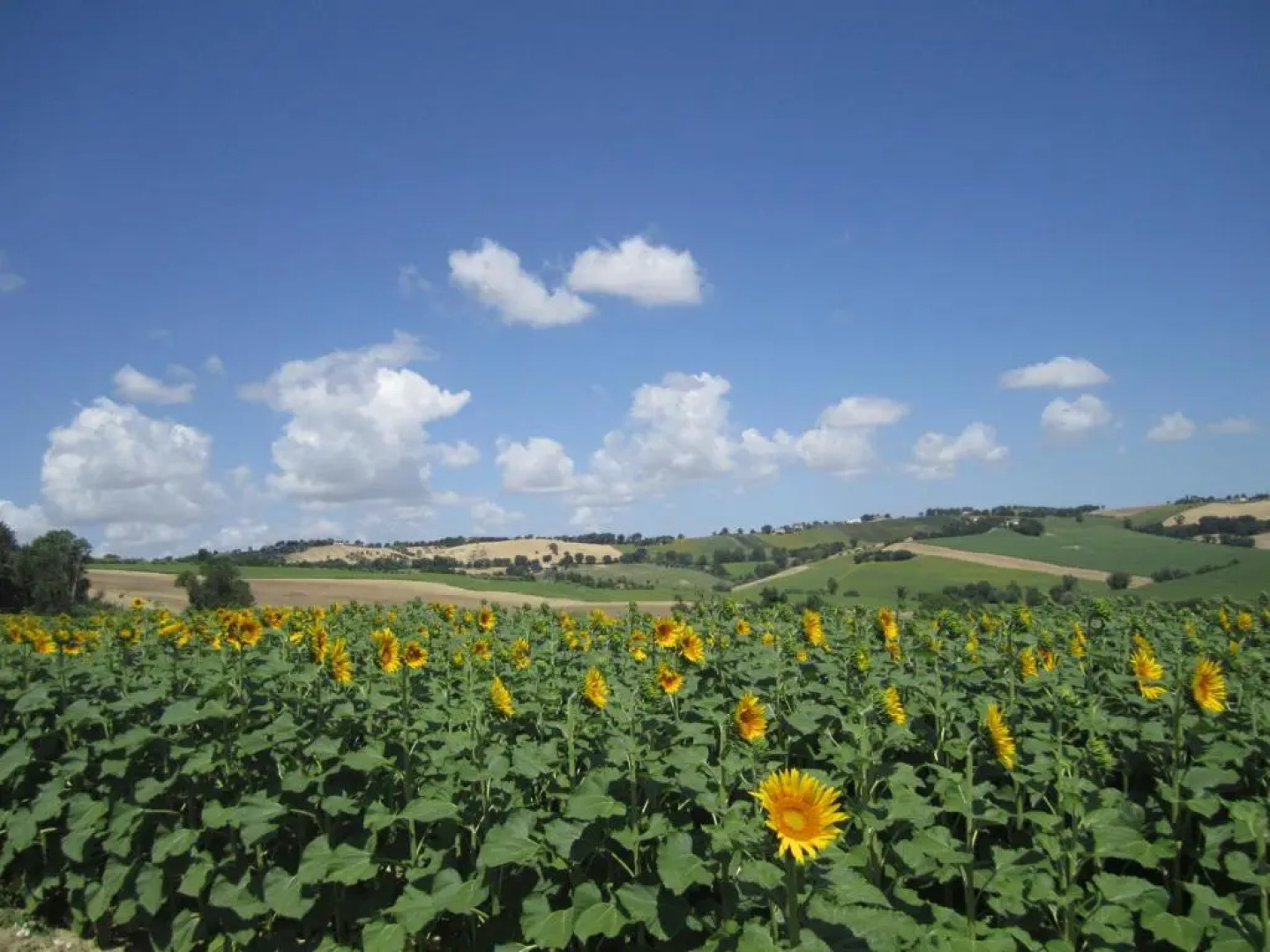 Il Giardino nella Valle