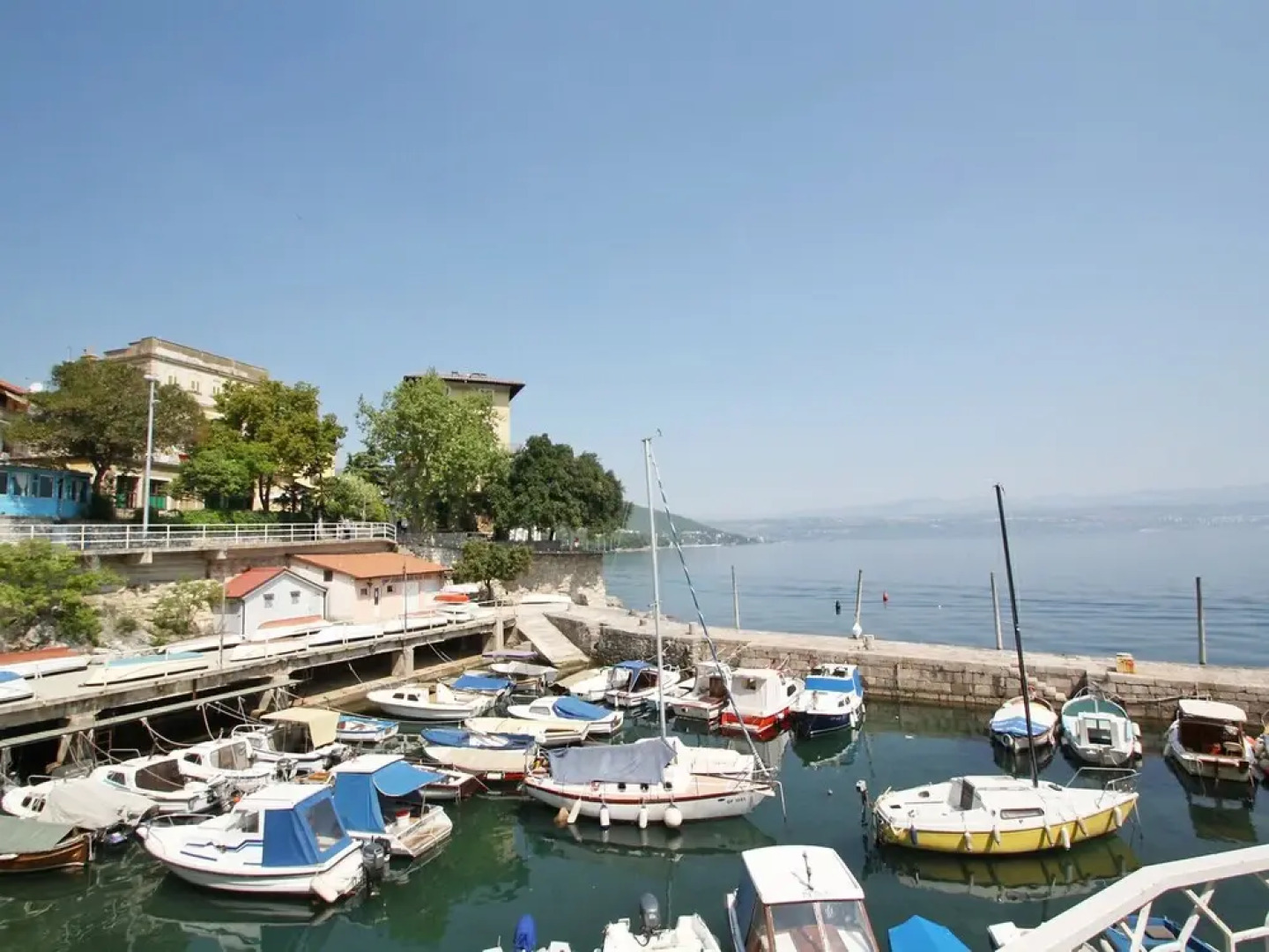 Laurus Tuli Evica in Tuli Evica