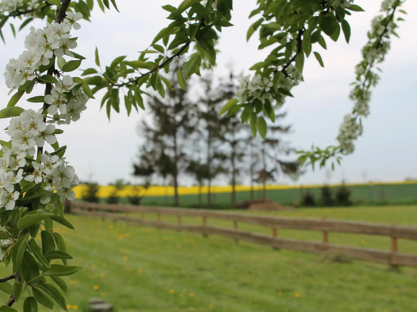 Cozy Holiday Home in Hohenkirchen near Baltic Sea