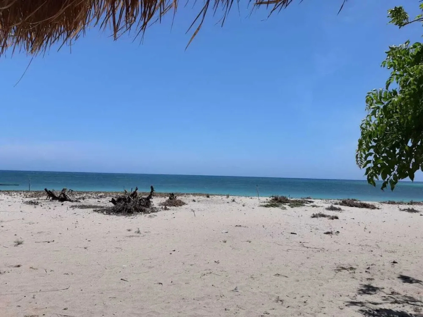 Costa Beach Resort & Club