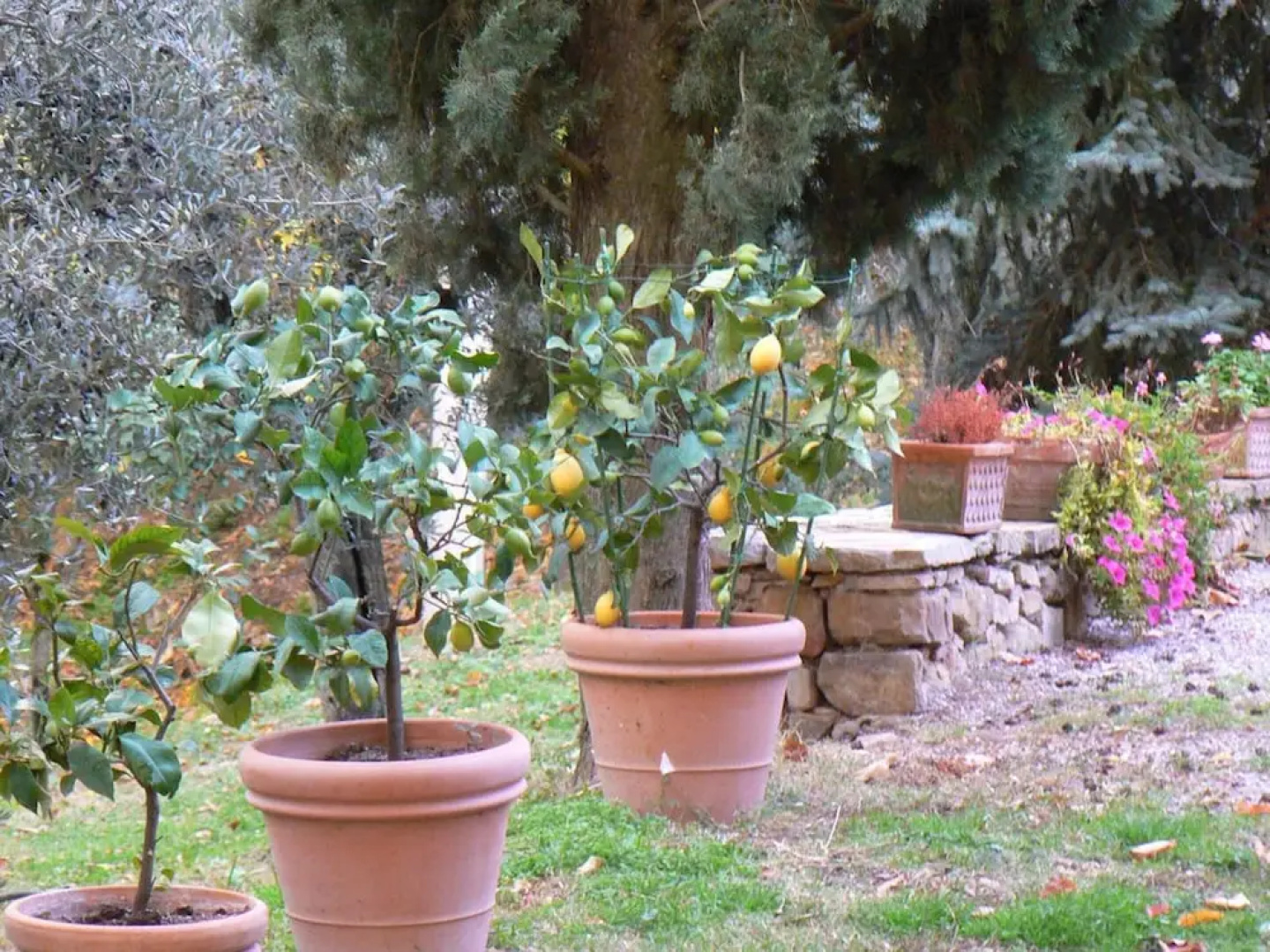 Villa With one Bedroom in Monte San Savino, With Wonderful Mountain View, Pool Access, Furnished Garden
