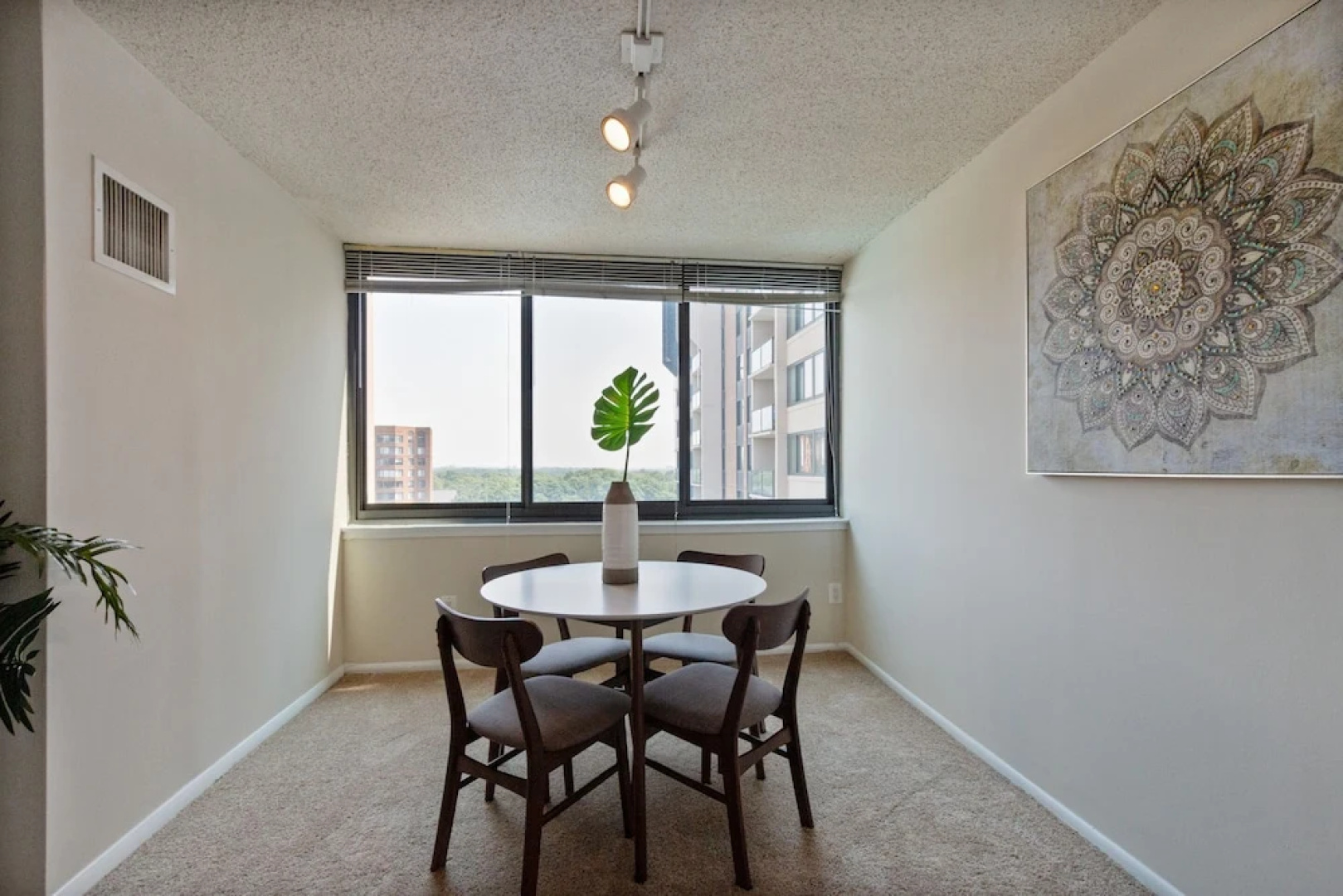 The Beautiful Alexandria Suites