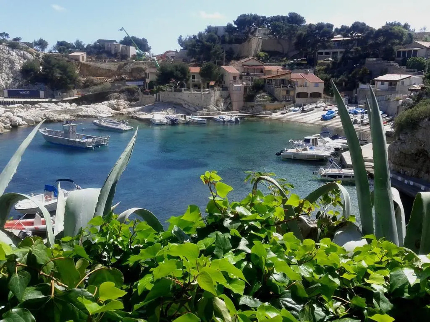 La Palmeraie des Calanques