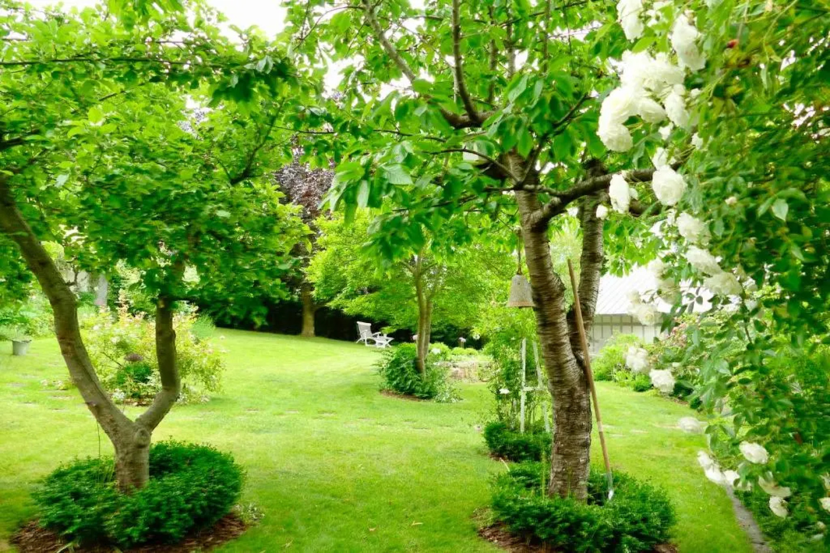 Kleine Ferienwohnungen - Störtebeker