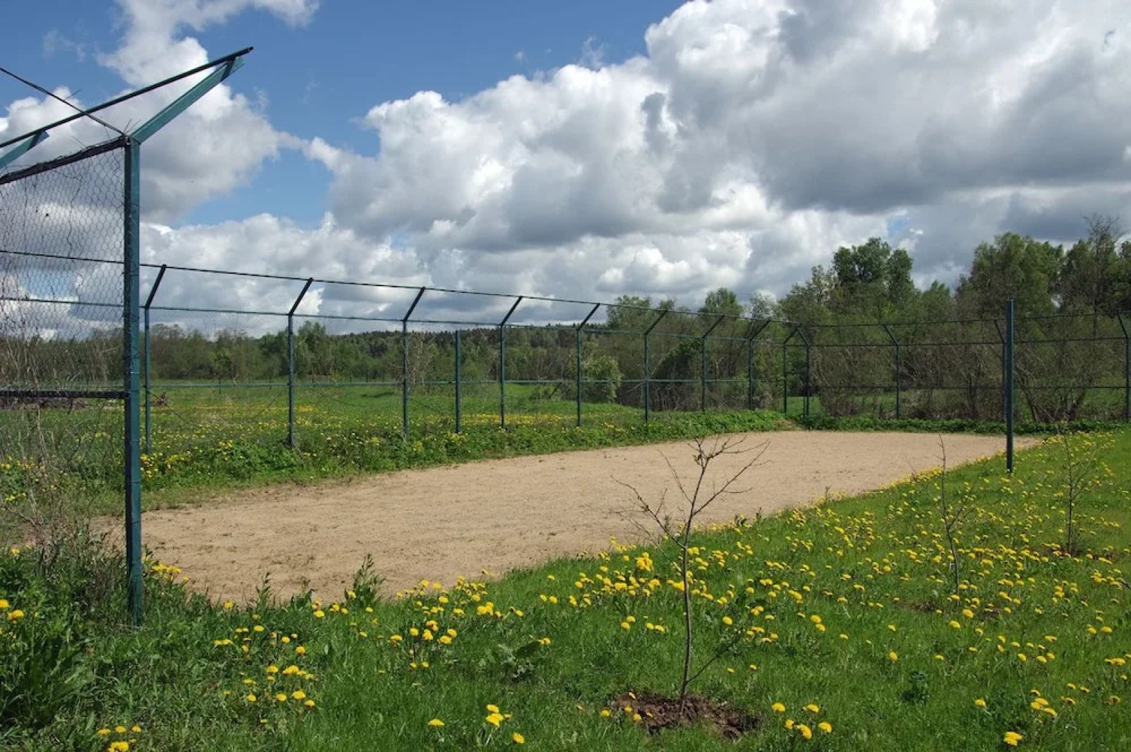 Отель «Вишневый сад»