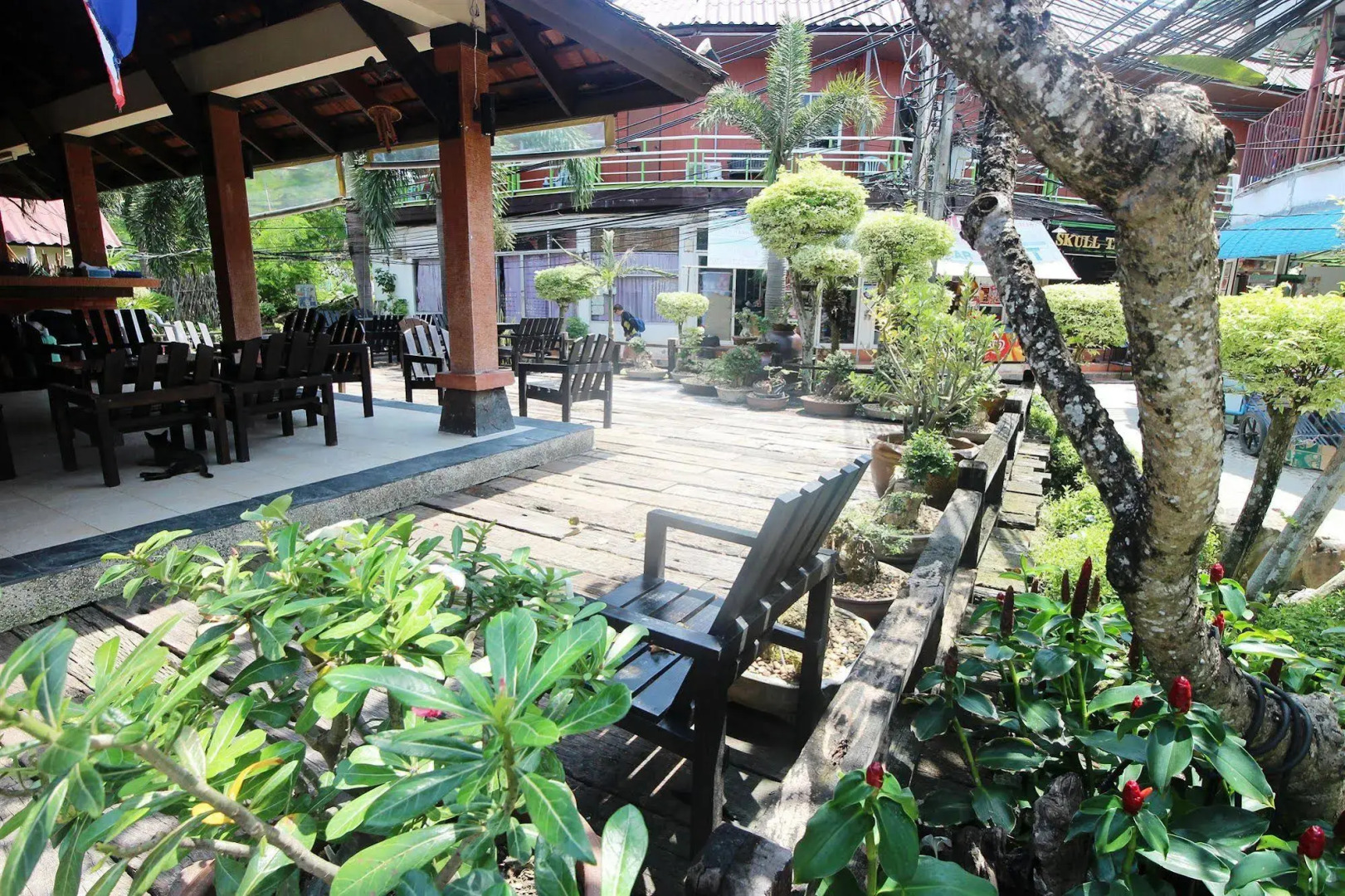 P.P. Casita - Adults Only