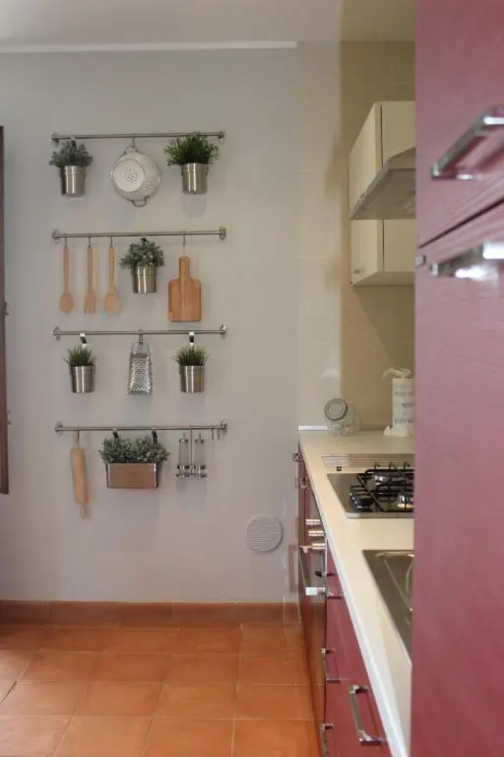 Lady Frantoio Toscano