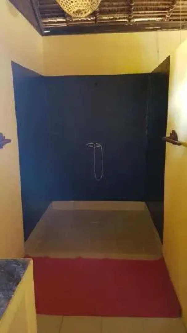 Les Dauphins De Nosy Be