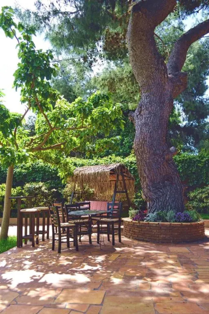 Turdus Merula Retreat