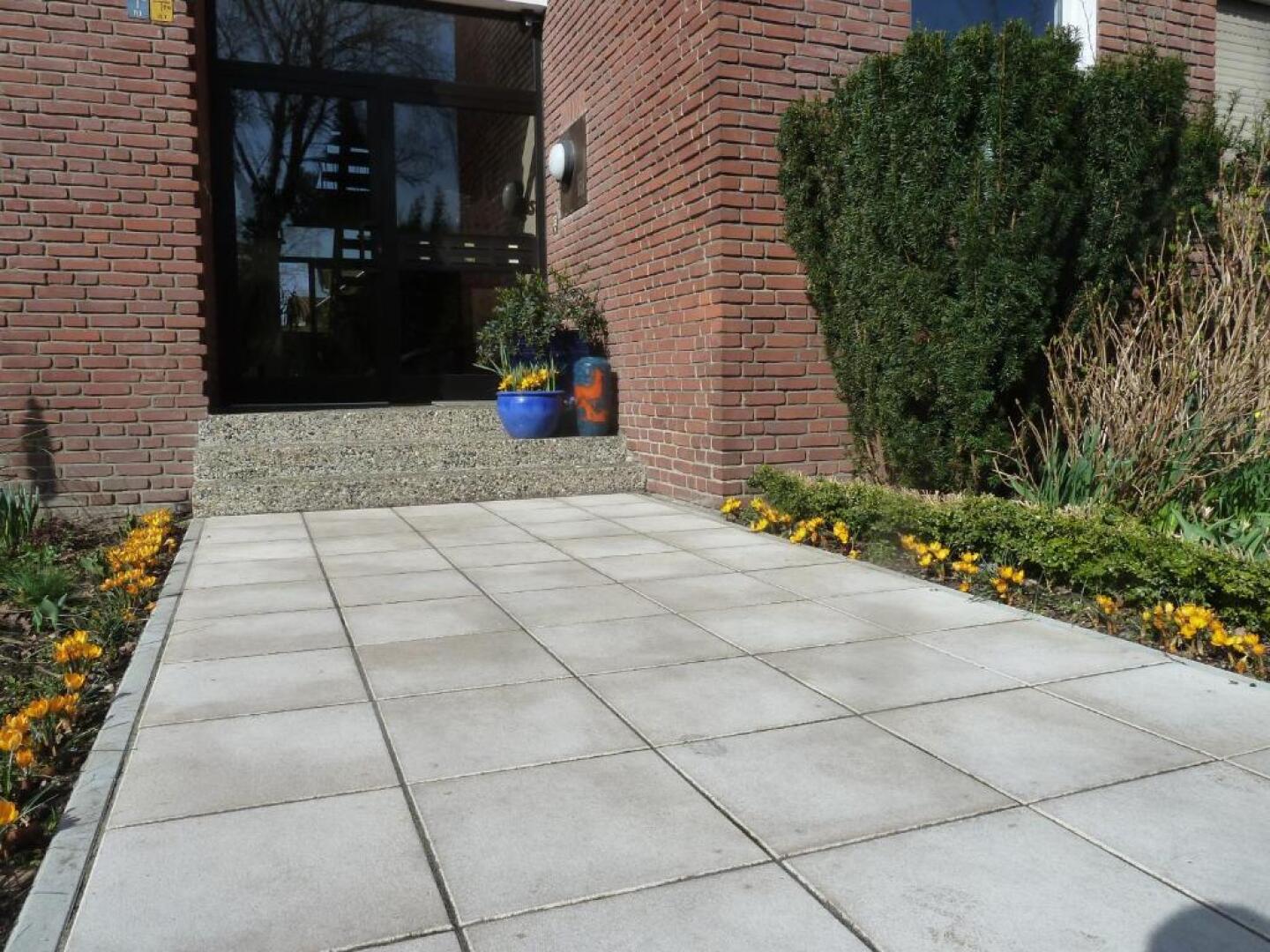 Golden Treasure Superior