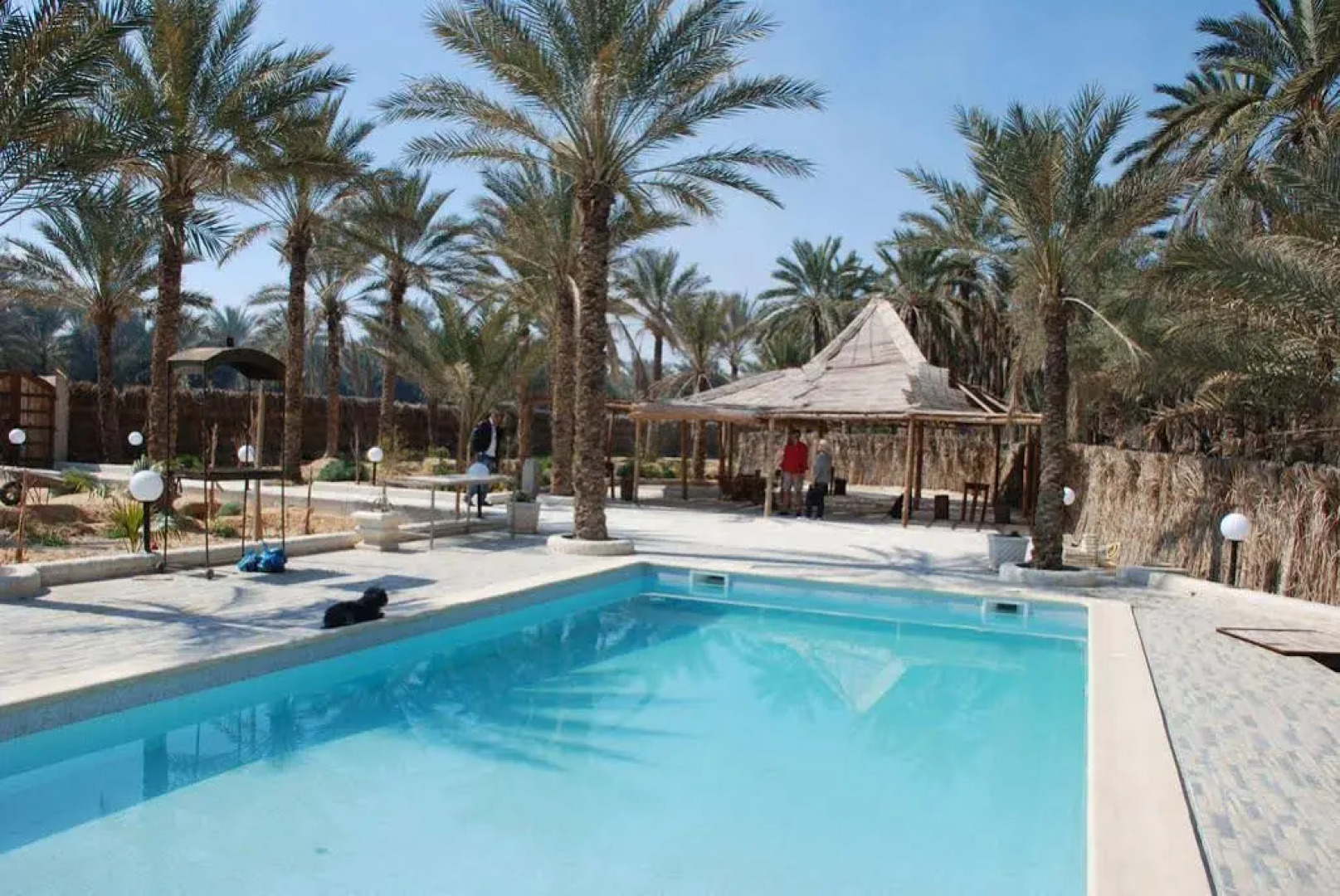 La Palmeraie de Touareg