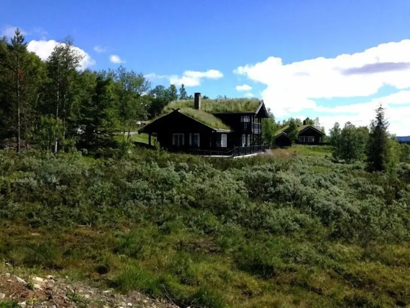 Kvitebjørn Cabin - Ål