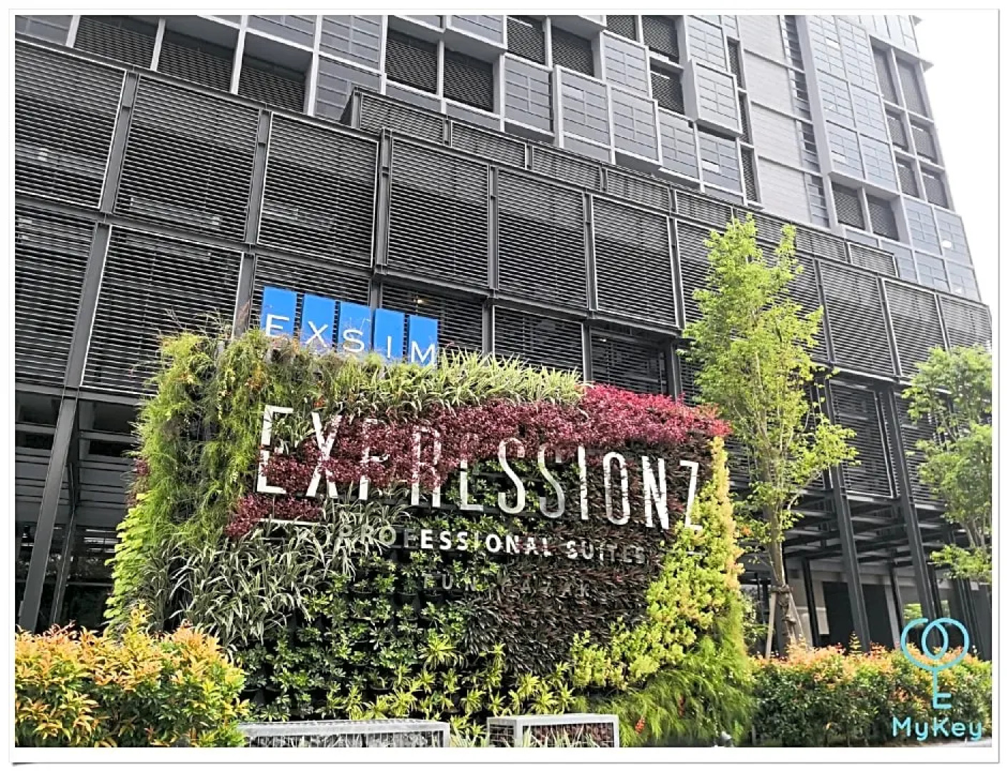 Expressionz Professional Suites by MyKey