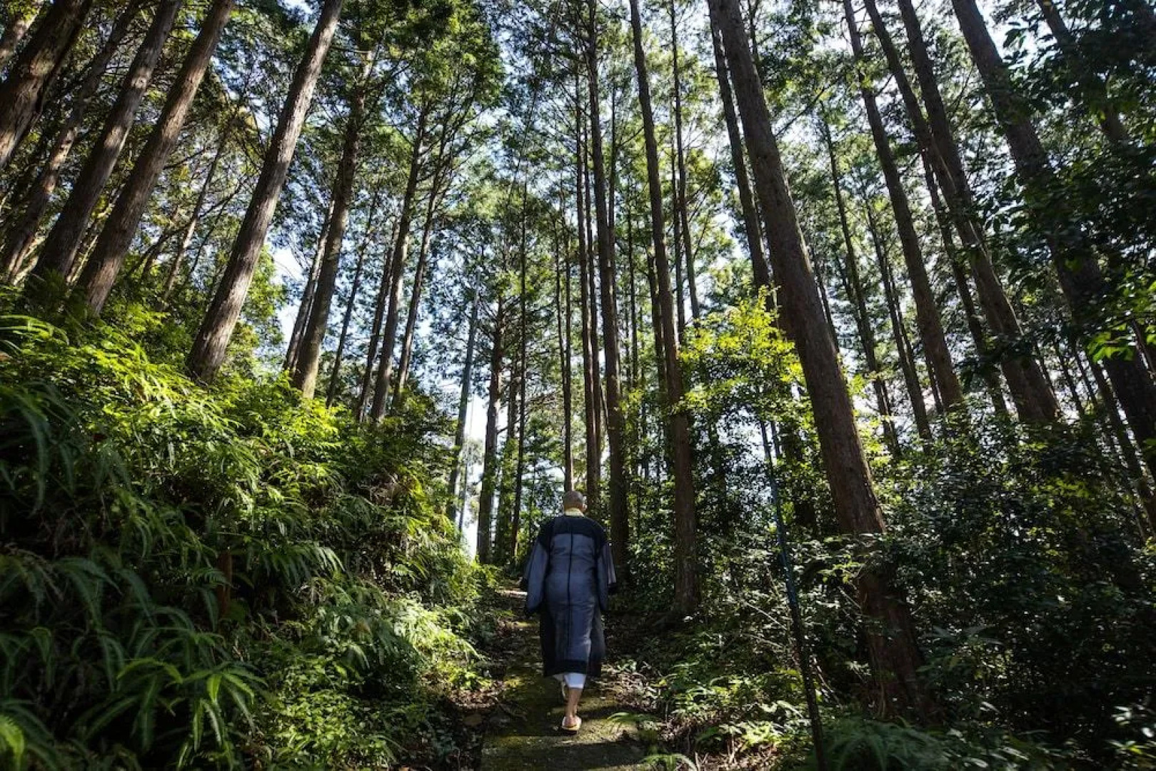 Temple Hotel Daitai-Ji