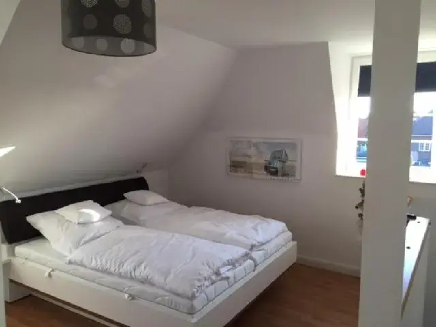 Friesengut4