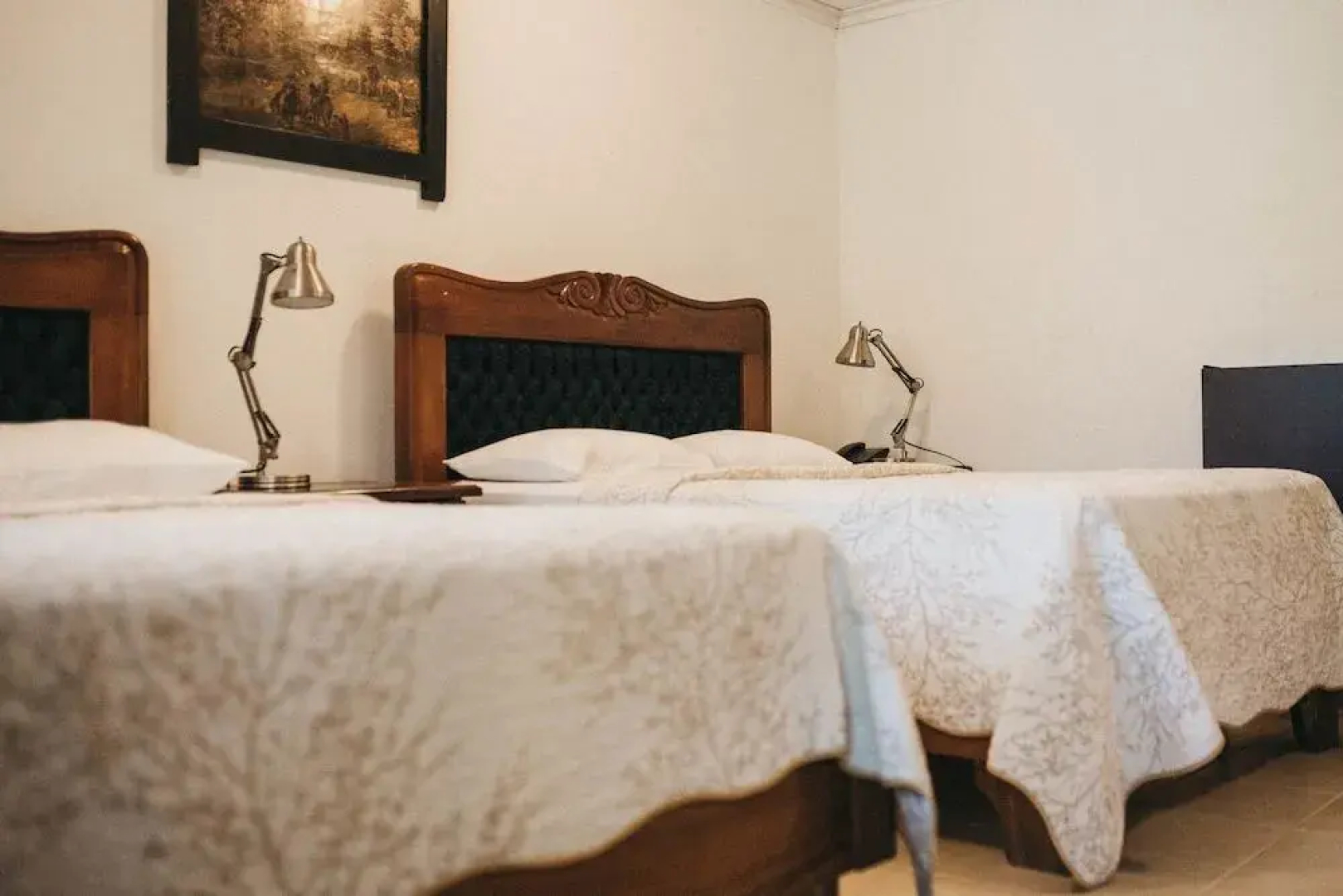 Hotel Javy