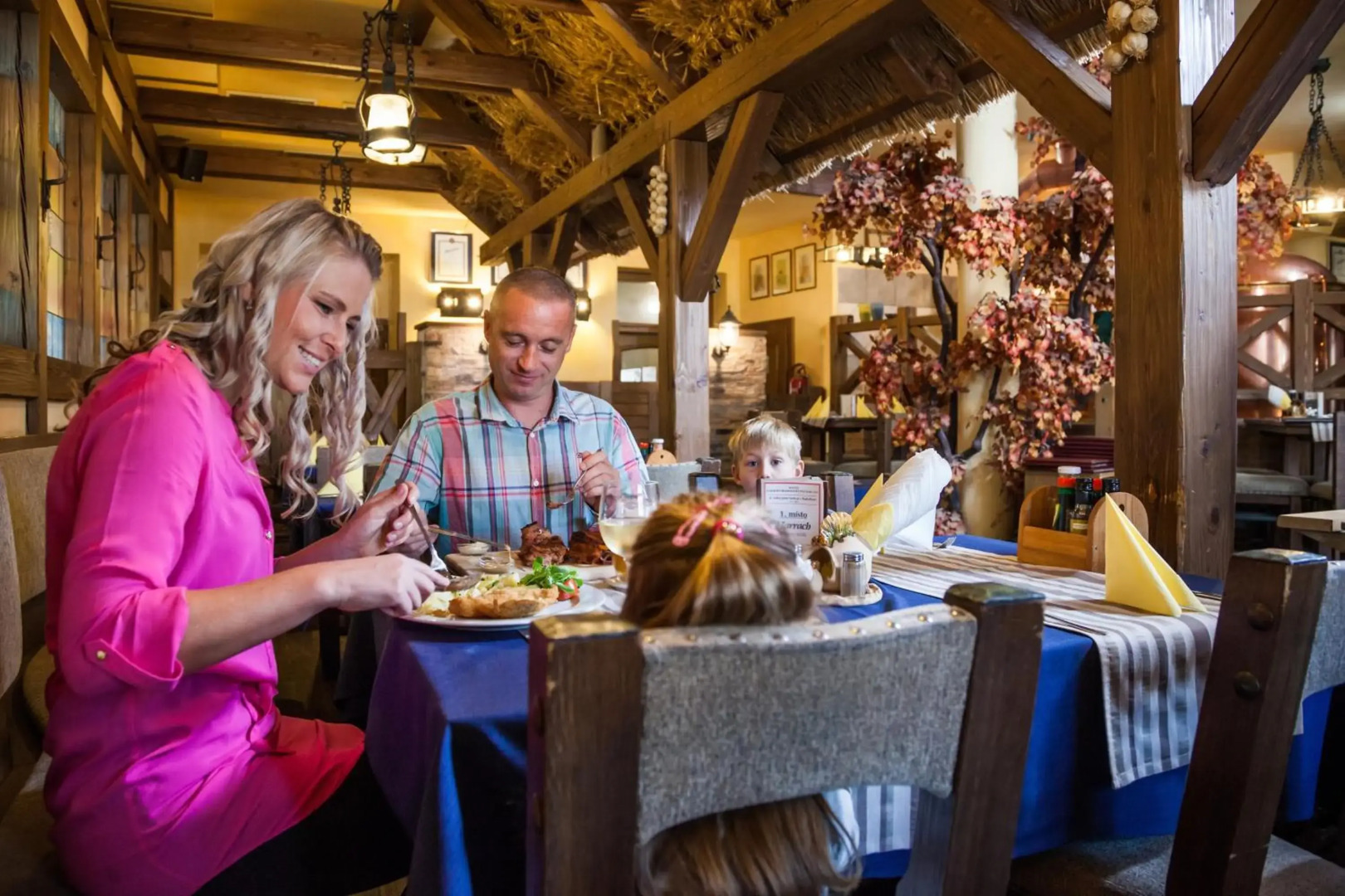 Hotel Jelínkova vila