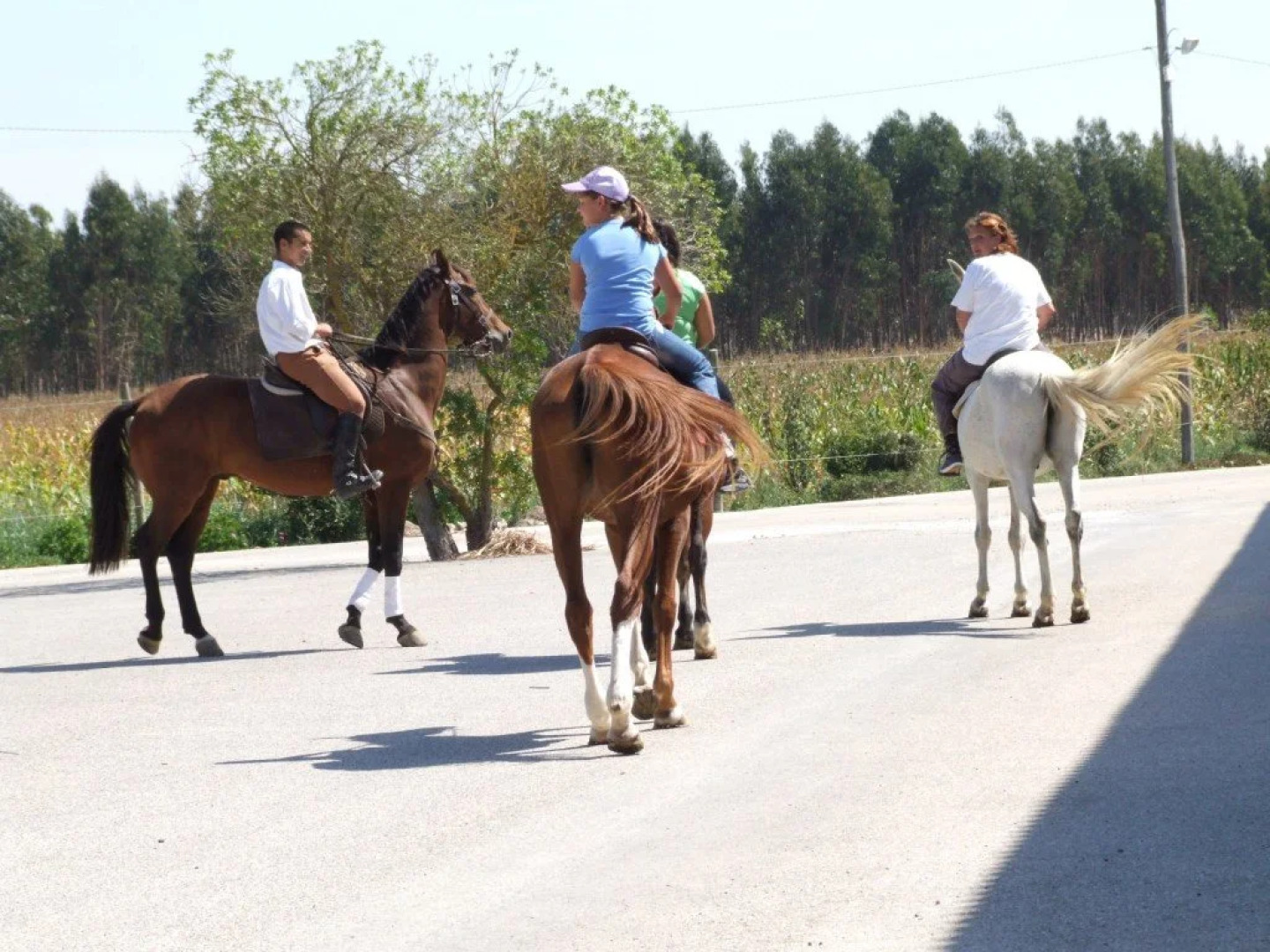 A Coutada Hotel Rural