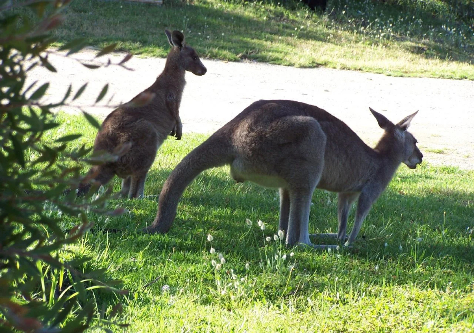 Venus Escapes Guesthouse