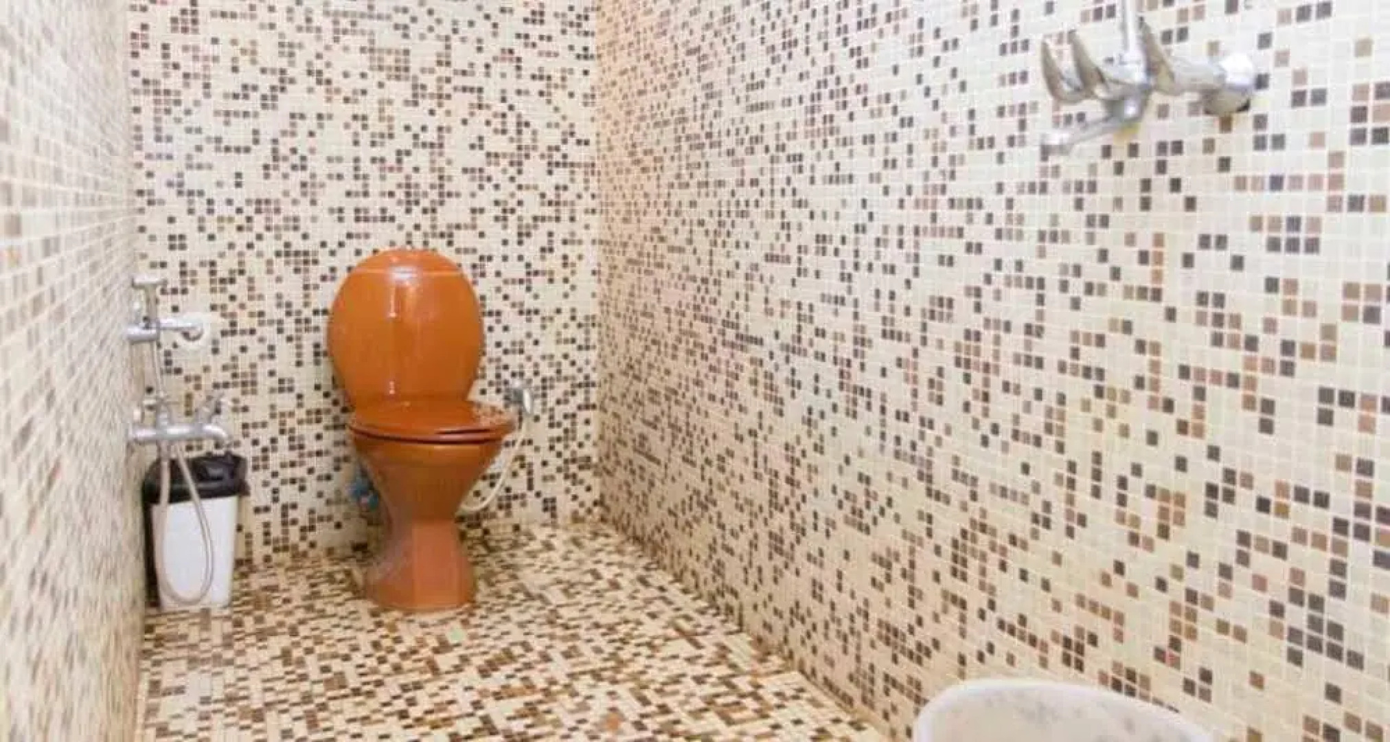 OYO Rooms North Goa Countryside