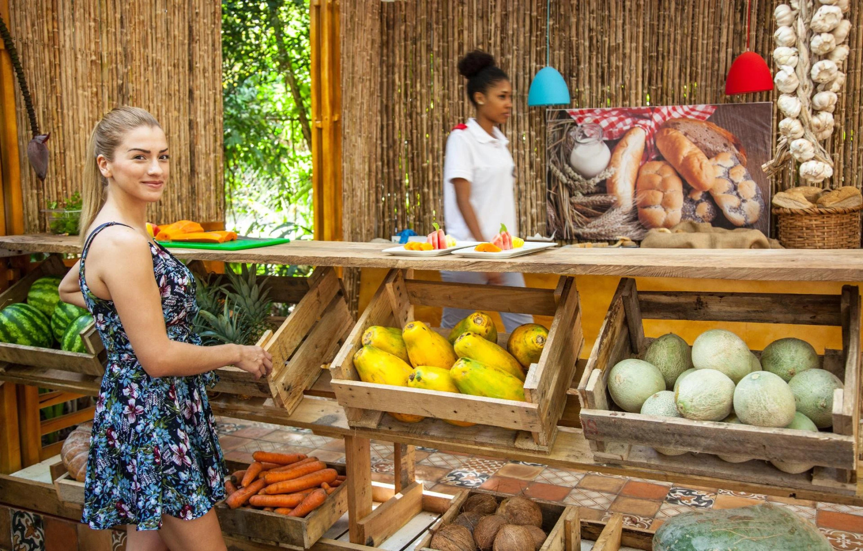 Le Cameleon Puerto Viejo