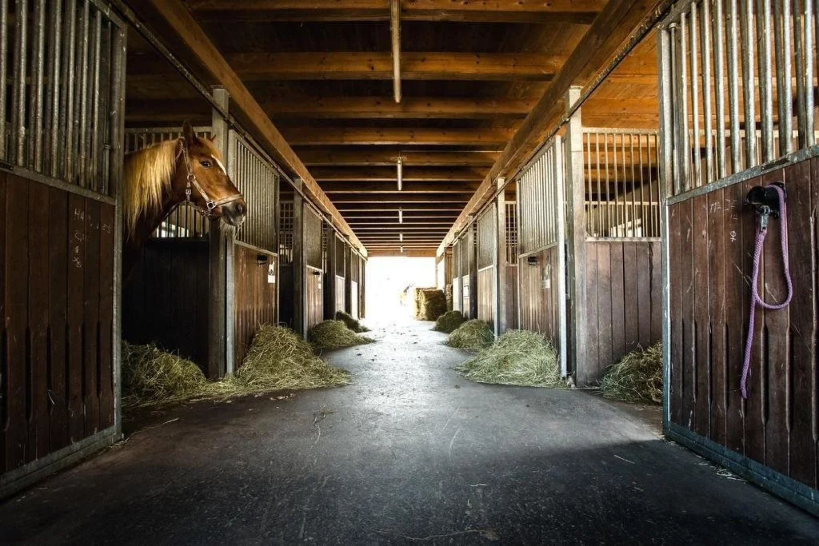 Landgasthof Lindenhof