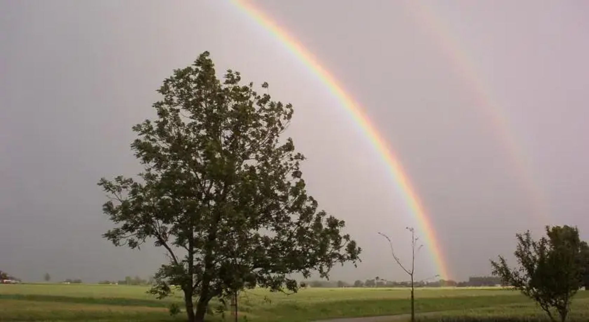 B&B The Middle of Nowhere