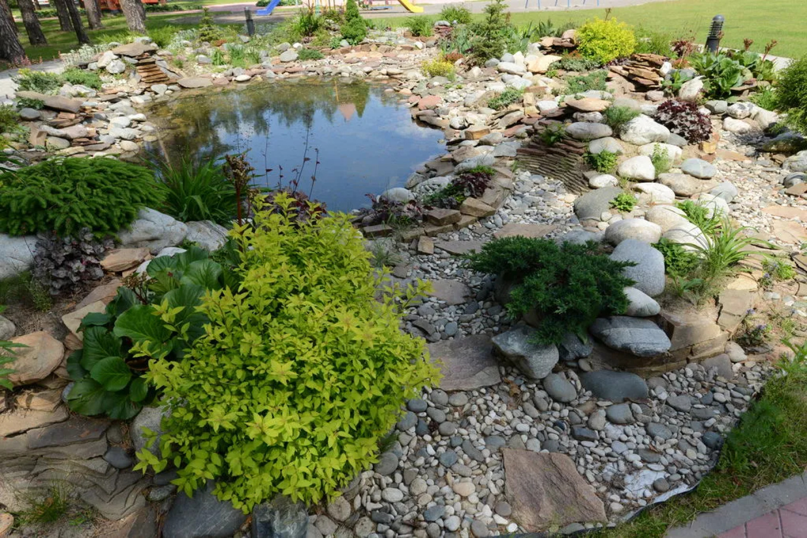 Сосны (Гомельская обл.)