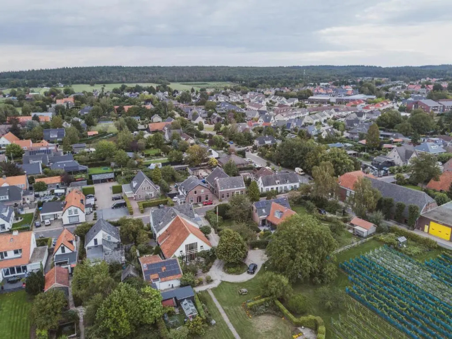 Bed & Breakfast Bloemen Vertellen