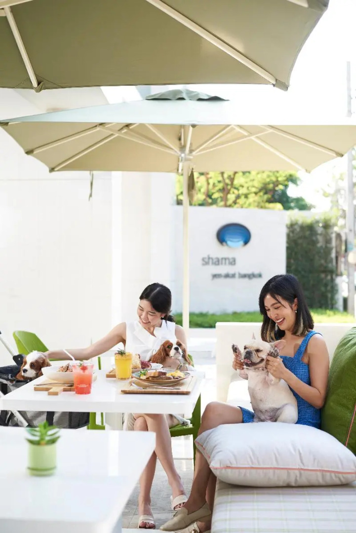 Shama Yen-Akat Bangkok