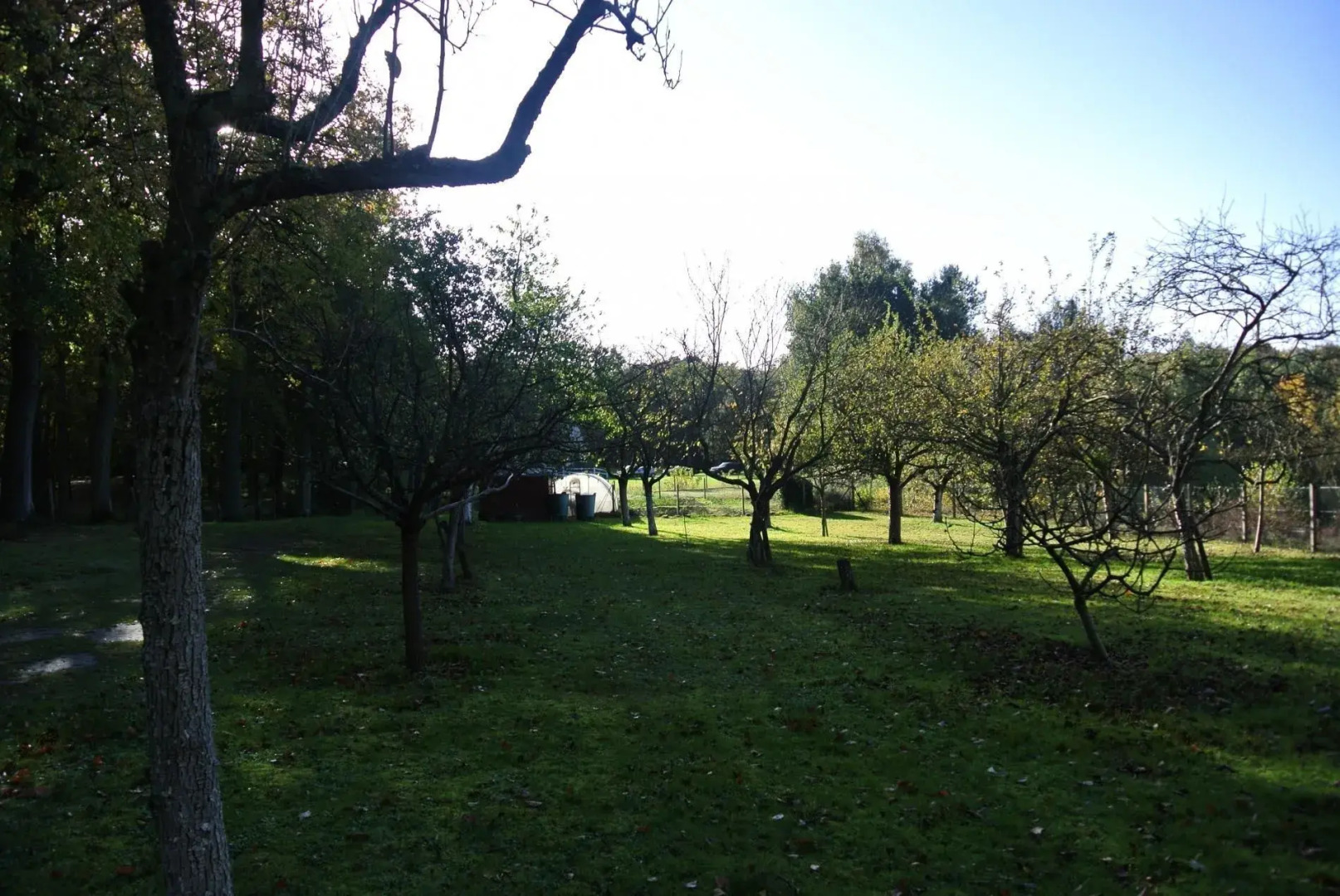 l'Isle Adam - RNU 101249