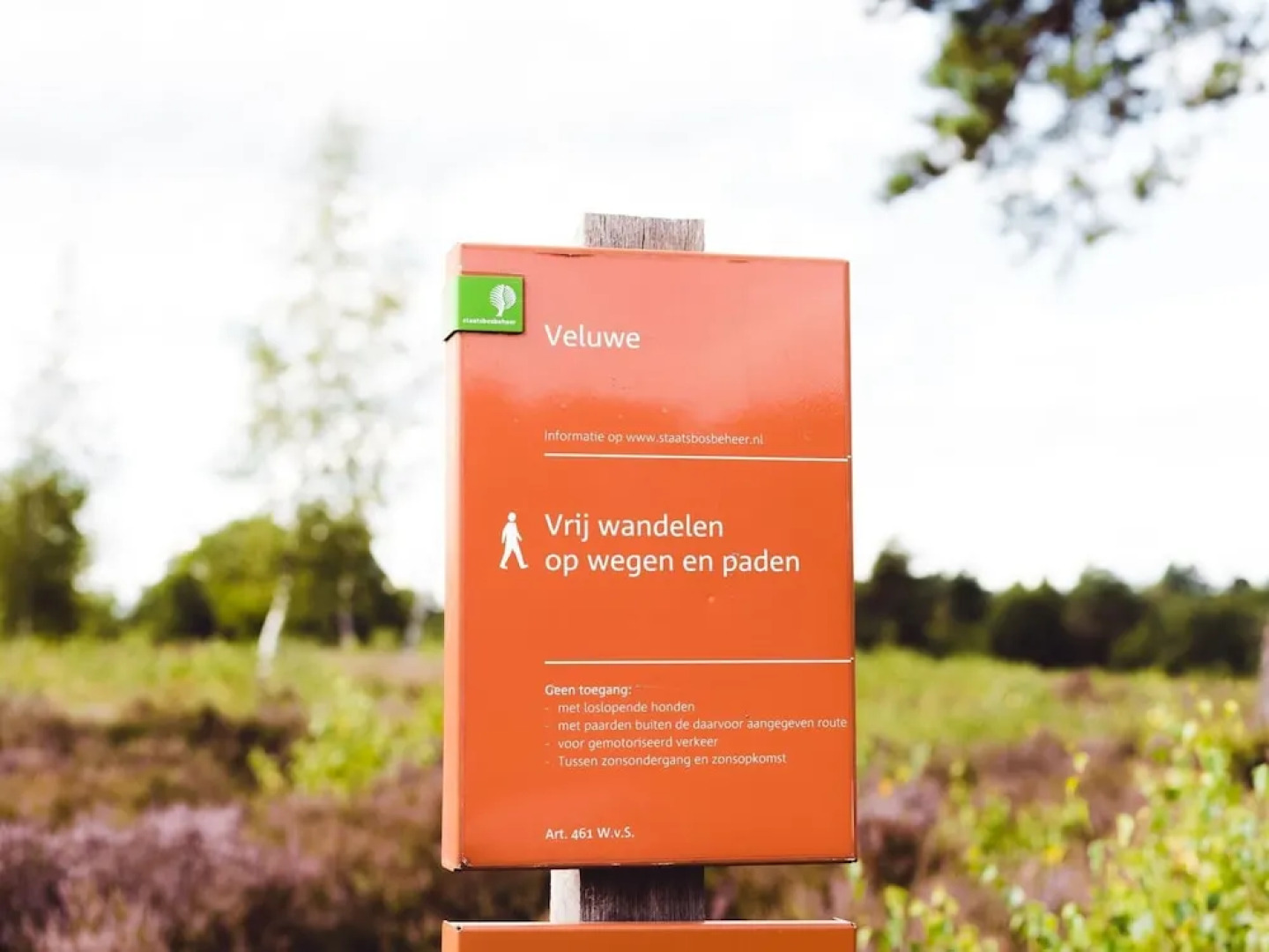 Chalet Near Trails & Town