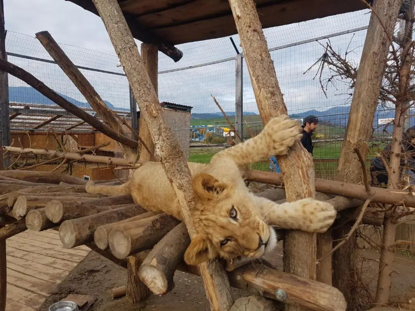 Apartmany Holiday Tatralandia