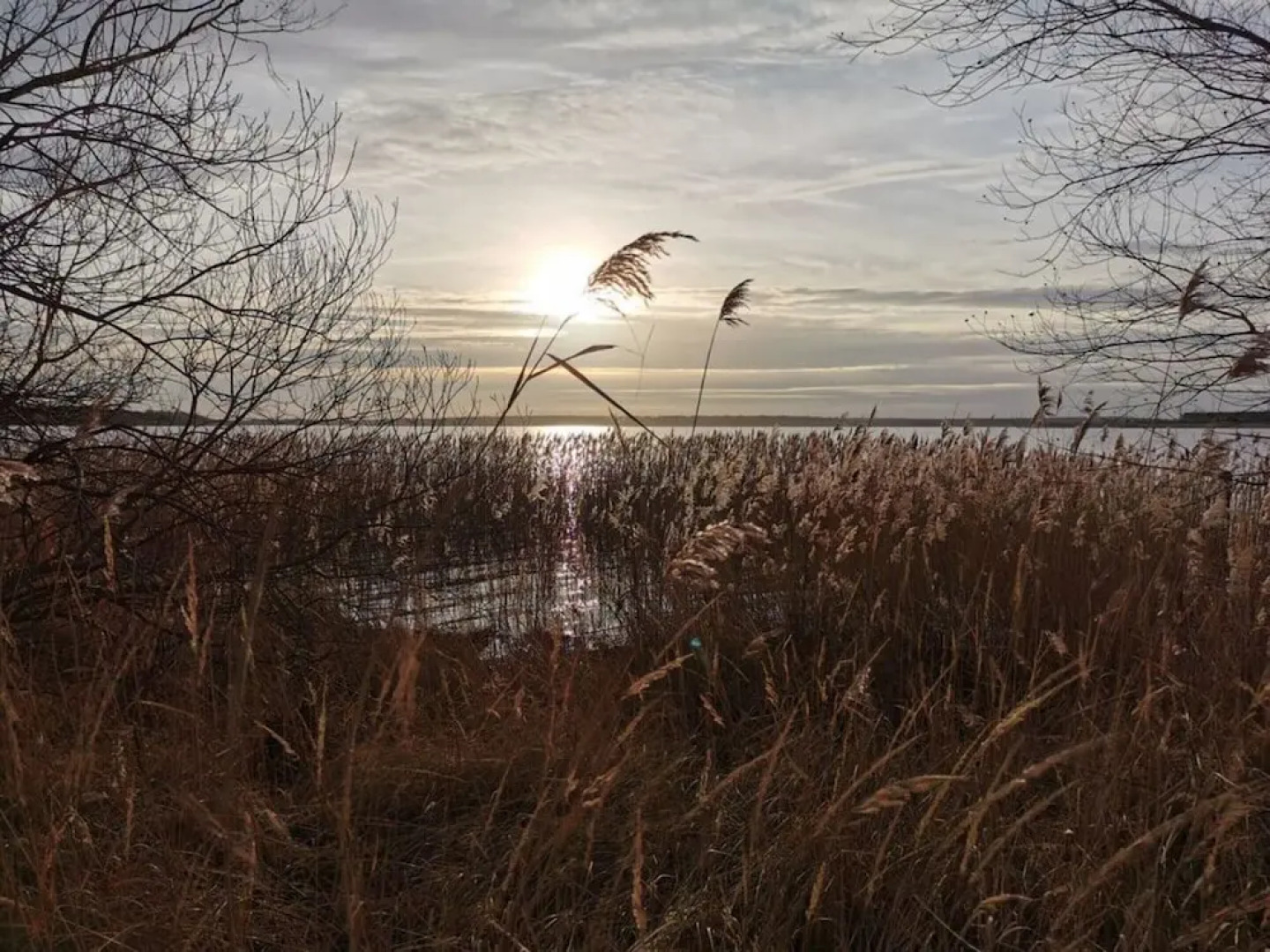 Sea Domicile Goitzsche