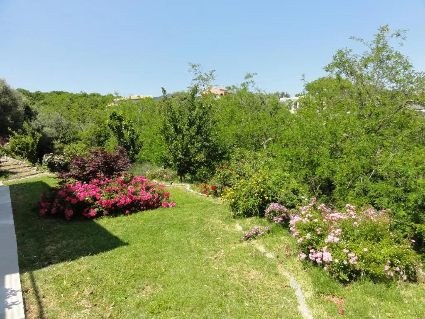 Chambre Elgante Lisa