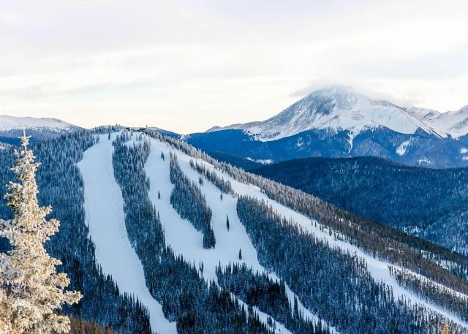 Timber Ridge #410 - Wildernest