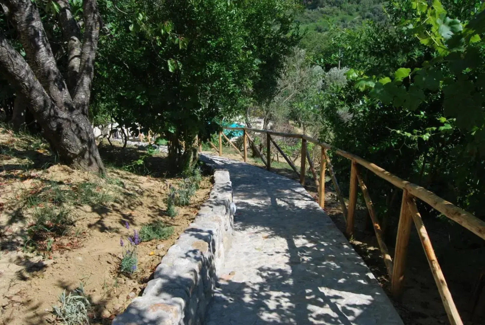 Agriturismo La Turritella