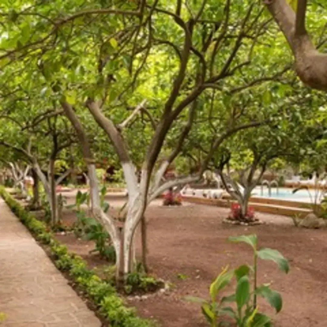 Gayb-i Bungalows By Naturelife