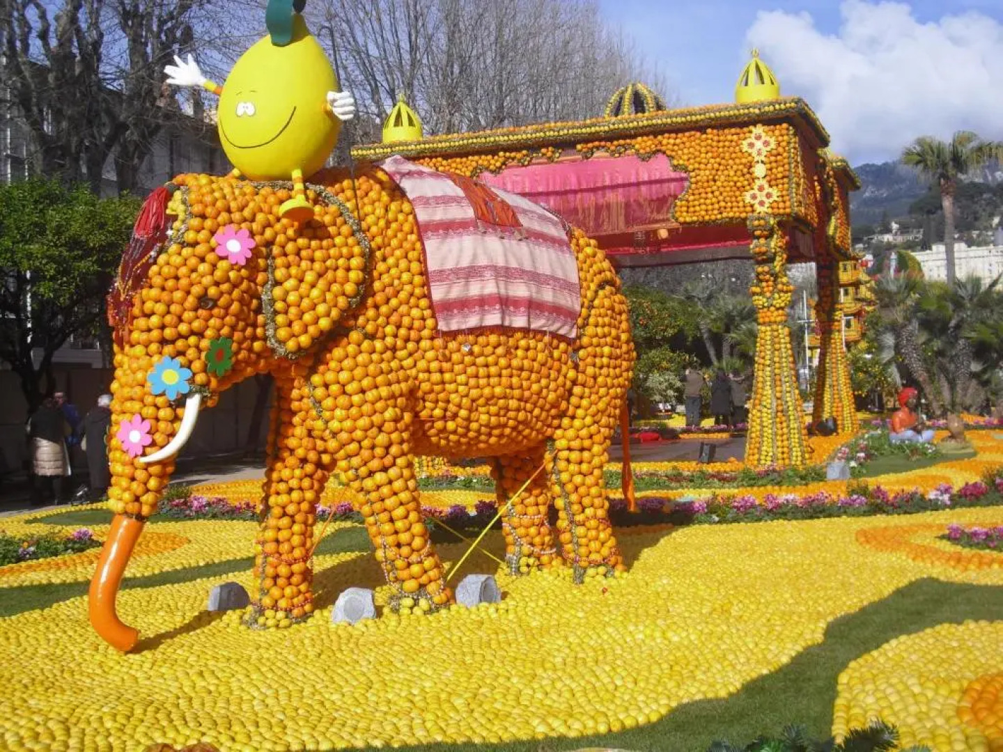 Splendide studio front de mer