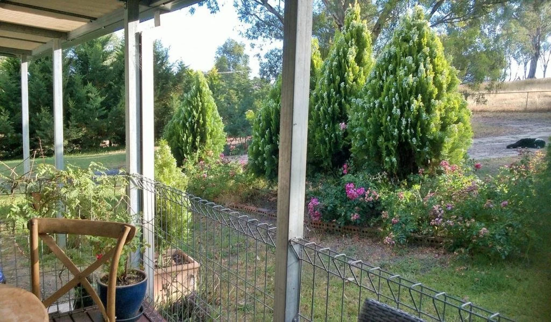 Russellee Bed and Breakfast