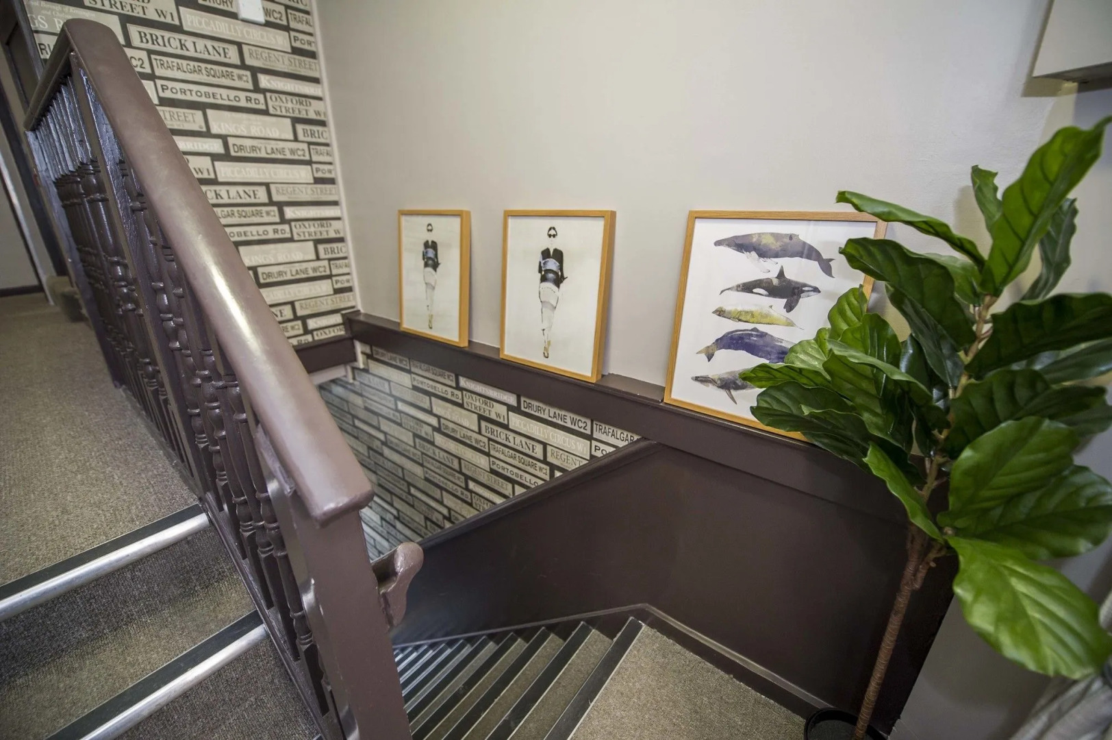 Monopoly Accommodations