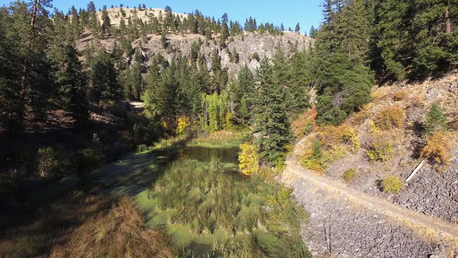 Mountain Springs Nature Retreat B&B