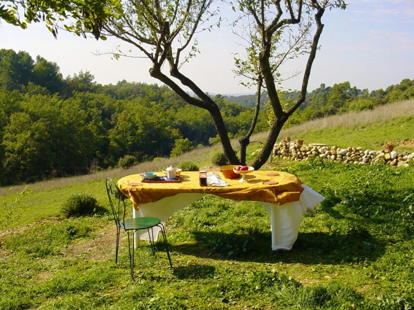 House With 2 Bedrooms in Allemagne-en-provence, With Furnished Garden